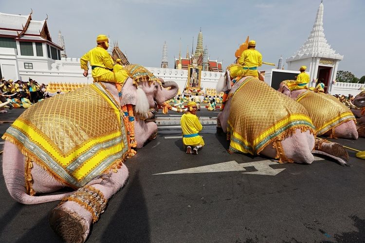 Pawai Gajah Hormati Raja Thailand Sehari Usai Pelantikan